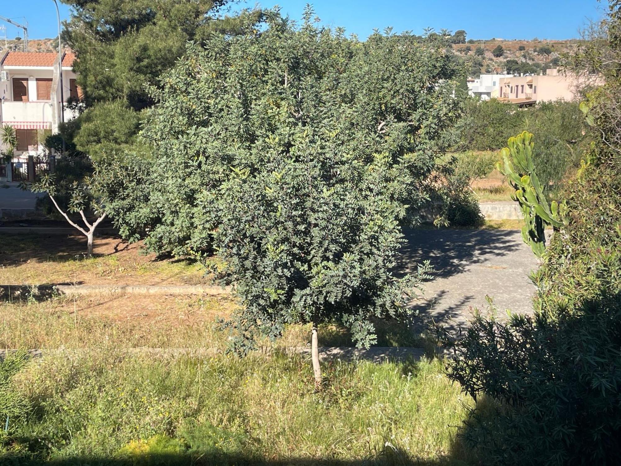 Aurora E Andrea San Vito Lo Capo Villa Kültér fotó